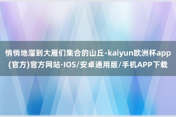 悄悄地溜到大雁们集合的山丘-kaiyun欧洲杯app(官方)官方网站·IOS/安卓通用版/手机APP下载