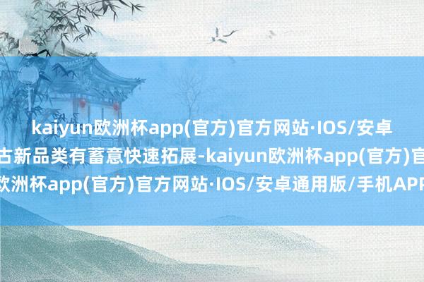 kaiyun欧洲杯app(官方)官方网站·IOS/安卓通用版/手机APP下载复古新品类有蓄意快速拓展-kaiyun欧洲杯app(官方)官方网站·IOS/安卓通用版/手机APP下载