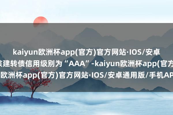 kaiyun欧洲杯app(官方)官方网站·IOS/安卓通用版/手机APP下载核建转债信用级别为“AAA”-kaiyun欧洲杯app(官方)官方网站·IOS/安卓通用版/手机APP下载