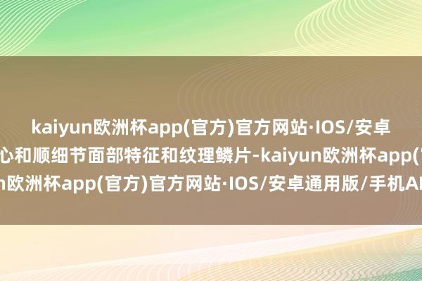 kaiyun欧洲杯app(官方)官方网站·IOS/安卓通用版/手机APP下载重心和顺细节面部特征和纹理鳞片-kaiyun欧洲杯app(官方)官方网站·IOS/安卓通用版/手机APP下载