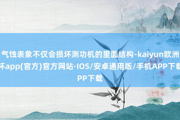 气蚀表象不仅会损坏测功机的里面结构-kaiyun欧洲杯app(官方)官方网站·IOS/安卓通用版/手机APP下载