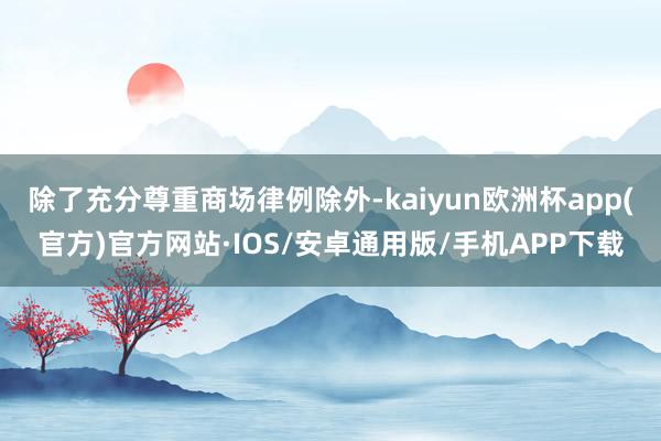 除了充分尊重商场律例除外-kaiyun欧洲杯app(官方)官方网站·IOS/安卓通用版/手机APP下载