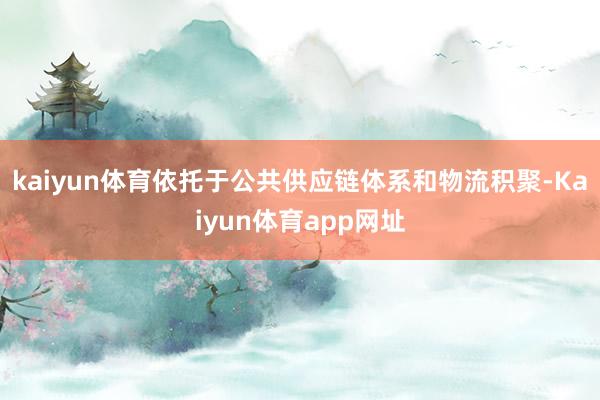 kaiyun体育依托于公共供应链体系和物流积聚-Kaiyun体育app网址