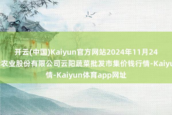 开云(中国)Kaiyun官方网站2024年11月24日陕西泾云当代农业股份有限公司云阳蔬菜批发市集价钱行情-Kaiyun体育app网址