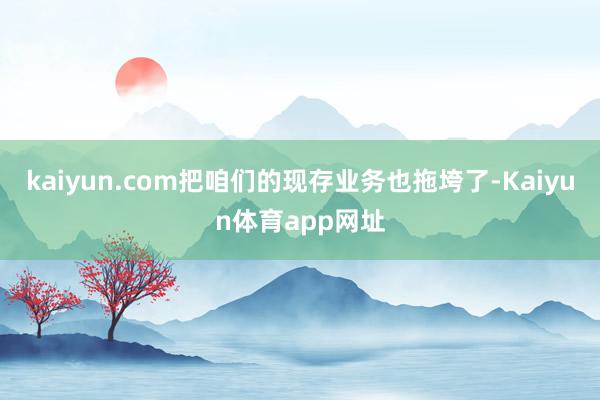 kaiyun.com把咱们的现存业务也拖垮了-Kaiyun体育app网址