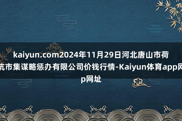 kaiyun.com2024年11月29日河北唐山市荷花坑市集谋略惩办有限公司价钱行情-Kaiyun体育app网址