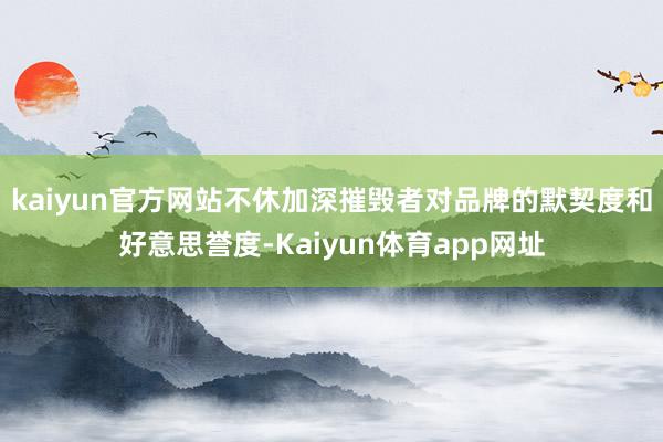 kaiyun官方网站不休加深摧毁者对品牌的默契度和好意思誉度-Kaiyun体育app网址