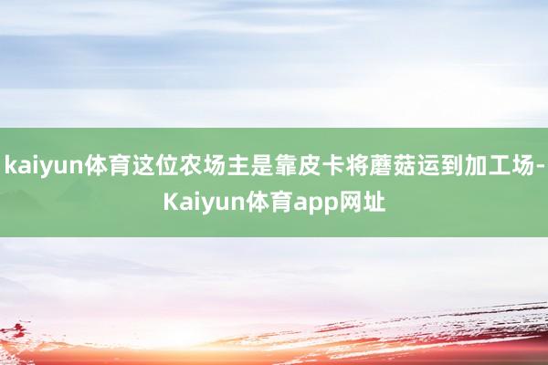 kaiyun体育这位农场主是靠皮卡将蘑菇运到加工场-Kaiyun体育app网址