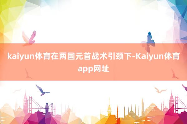 kaiyun体育在两国元首战术引颈下-Kaiyun体育app网址