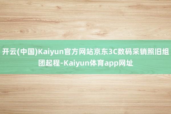 开云(中国)Kaiyun官方网站京东3C数码采销照旧组团起程-Kaiyun体育app网址