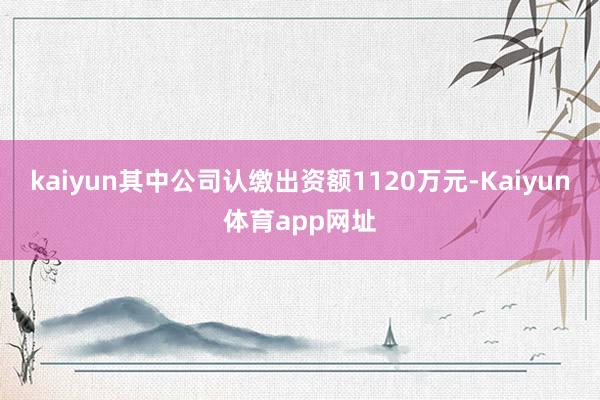 kaiyun其中公司认缴出资额1120万元-Kaiyun体育app网址