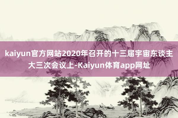 kaiyun官方网站2020年召开的十三届宇宙东谈主大三次会议上-Kaiyun体育app网址